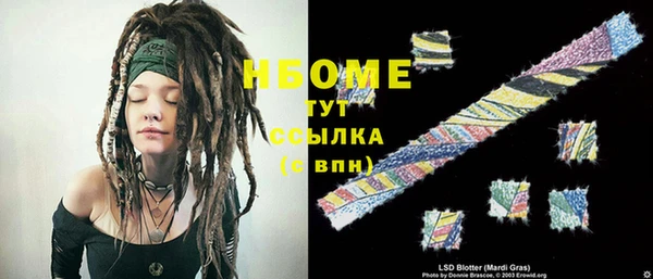 индика Нижний Тагил