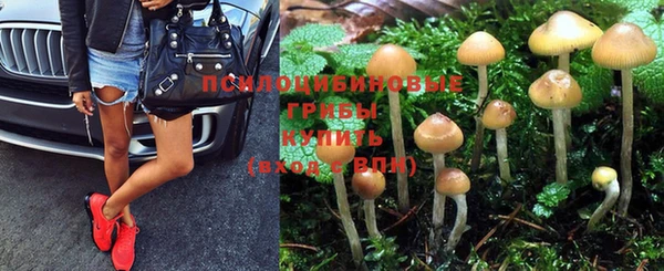 круглые Каменногорск
