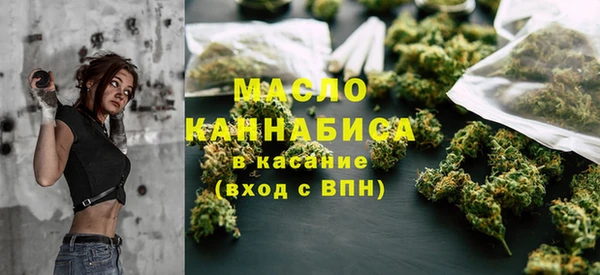 2c-b Каменка