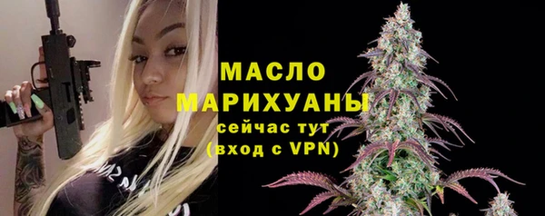 2c-b Каменка