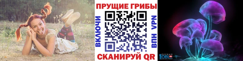 Псилоцибиновые грибы Psilocybe  Купить где  Гдов 